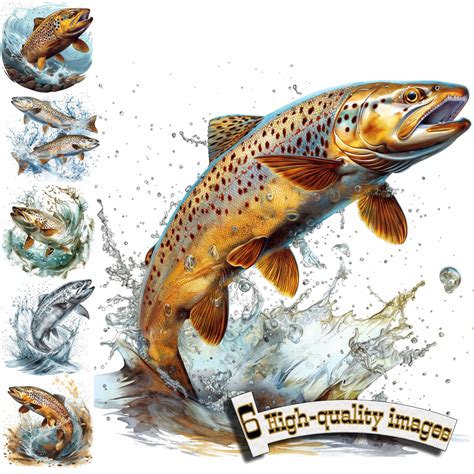 6 fish clipart|6 Trout Fish Clipart, Trout Fish Clipart PNG, Fishing, .